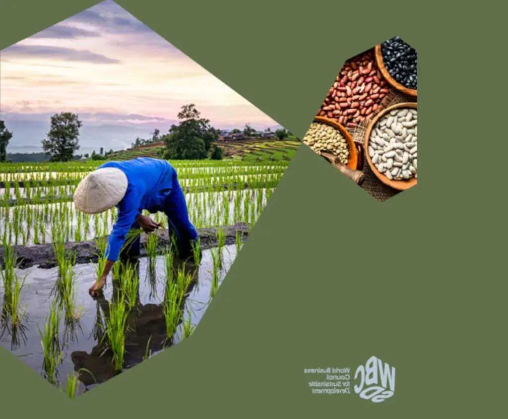 Discover the business case for Scope 3 GHG action in agriculture and food value chains